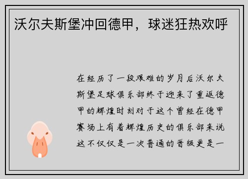 沃尔夫斯堡冲回德甲，球迷狂热欢呼